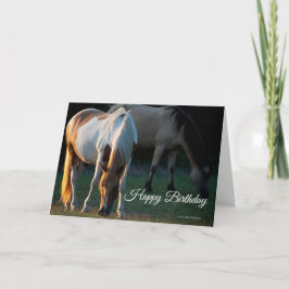 American Paint Horse Birthday Card Karte