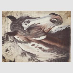 American Paint Horse Decoupage Seidenpapier