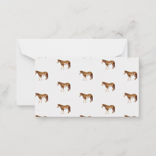 American Paint Horse Reitsport Mitteilungskarte