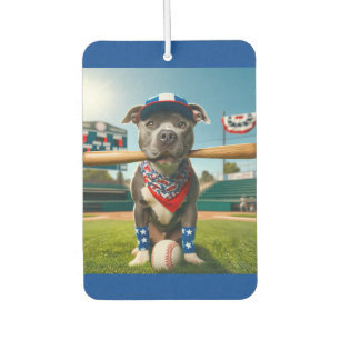 American Past Car Freshener Autolufterfrischer