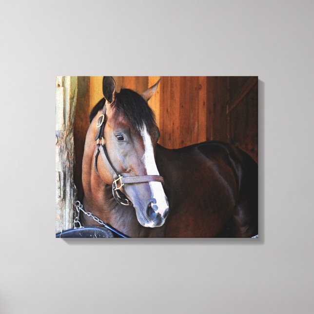 American Patriot Leinwanddruck (Vorderseite)