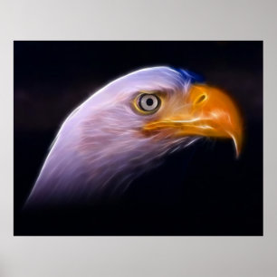 American Patriotic Bald Eagle, Nationales Symbol Poster