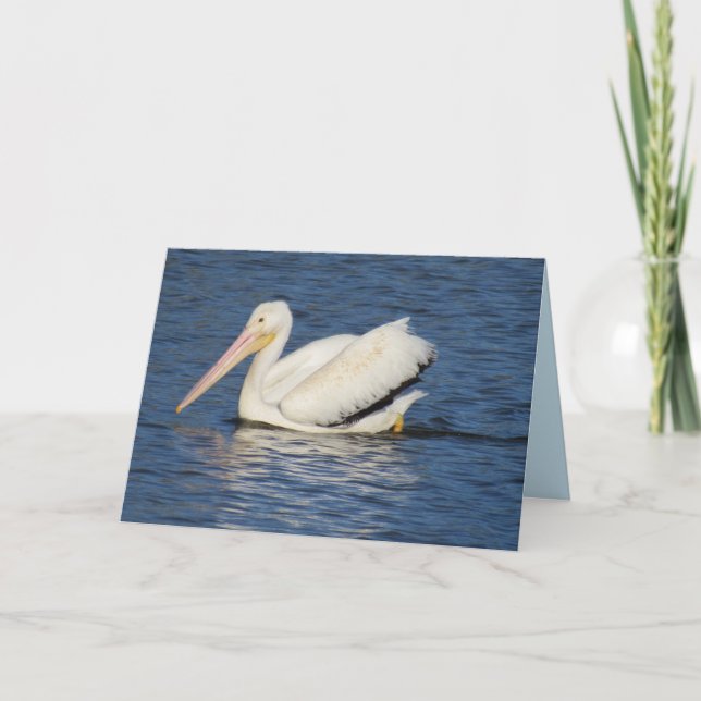 American Pelican Greeting Card Feiertagskarte (Vorderseite)