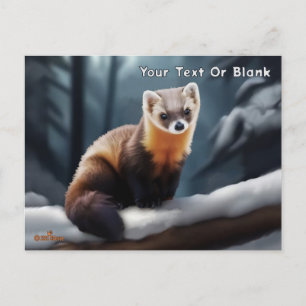 American Pine Marten Postkarte