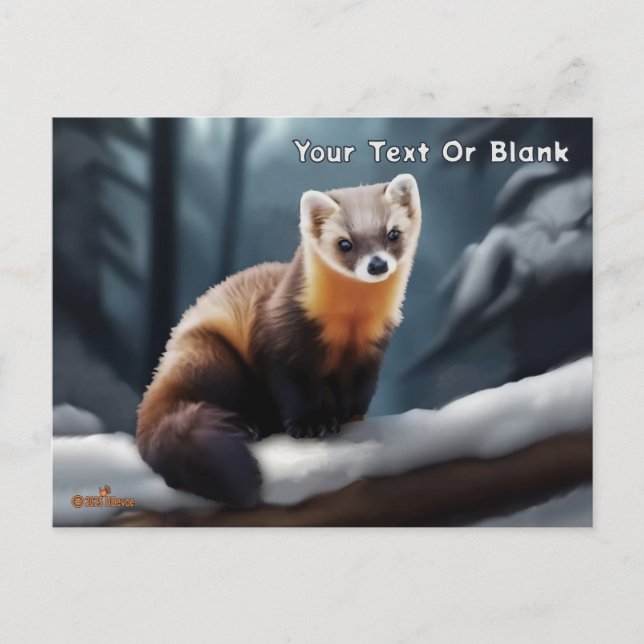 American Pine Marten Postkarte (Vorderseite)