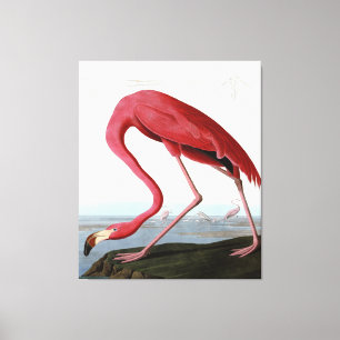 American Pink Flamingo Gift Lover  Sketch Flamingo Leinwanddruck