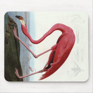 American Pink Flamingo Gift Lover Sketch Flamingo Mousepad