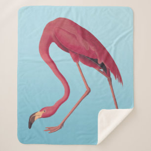 American Pink Flamingo Vintag Art Fleece Blanko Sherpadecke