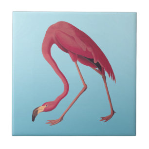American Pink Flamingo Vintag Art Fliese