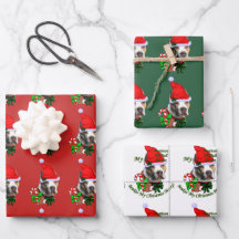 American Pit Bull Terrier Christmas