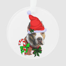 American Pit Bull Terrier Christmas