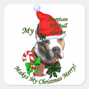 American Pit Bull Terrier Christmas Quadratischer Aufkleber