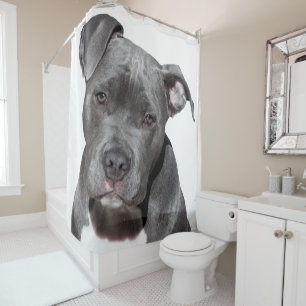 American Pit Bull Terrier Duschvorhang
