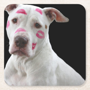 American Pit Bull Terrier mit Küssen Rechteckiger Pappuntersetzer
