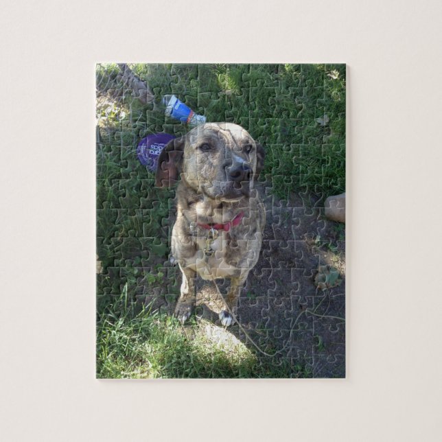 American Pit Bull Terrier Puzzle (Vertikal)