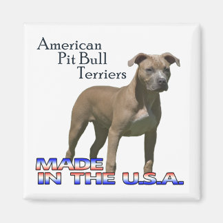 American Pit Bull Terrier : Square Magnet
