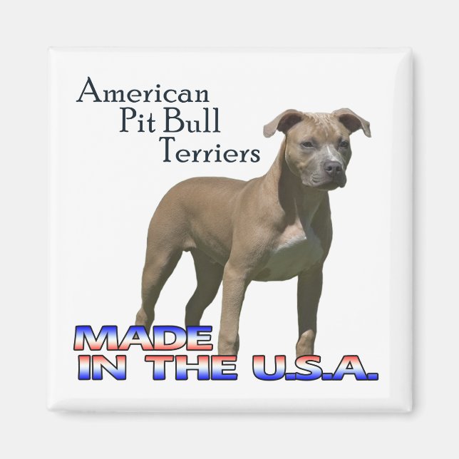 American Pit Bull Terrier : Square Magnet (Vorne)