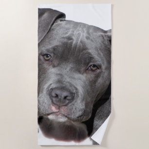 American Pit Bull Terrier Strandtuch