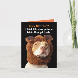 American Pitbull Trick oder Treat Halloween Spaß C Karte