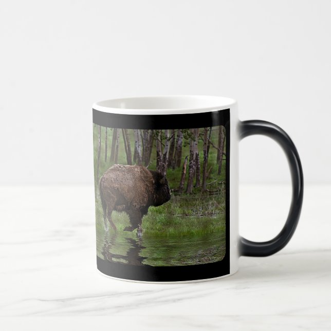 American Plains Buffalo Bison Artwork Kaffee Tasse (Rechts)