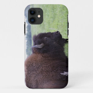 American Plains Buffalo Bison iPhone 5 Abdeckung Case-Mate iPhone Hülle