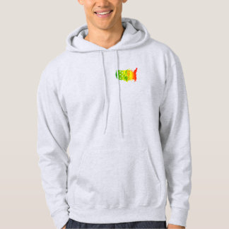 AMERICAN RASTA LION HOODIE