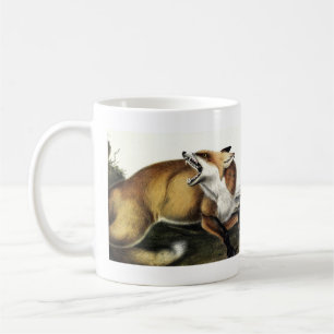 American Red Fox, Vulpes vulvus von Audubon Kaffeetasse