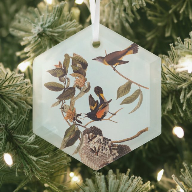 American Redstart Audubon Birds and Wasp Nest Ornament Aus Glas (Insitu)