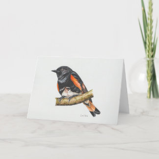 American Redstart Warbler Art Card Dankeskarte
