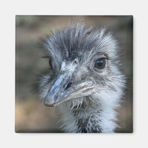 American Rhea Portrait Magnet