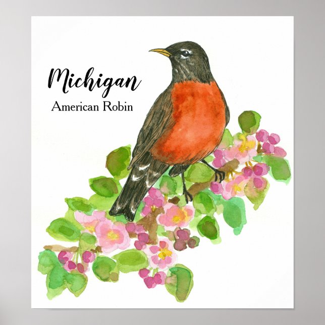 American Robin Apple Blossom Michigan Poster (Vorne)