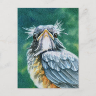 American Robin Bird Fledglage Wasserfarben Kunst Postkarte