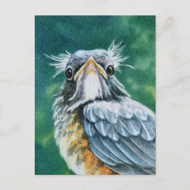 American Robin Bird Fledglage Wasserfarben Kunst Postkarte (Vorderseite)