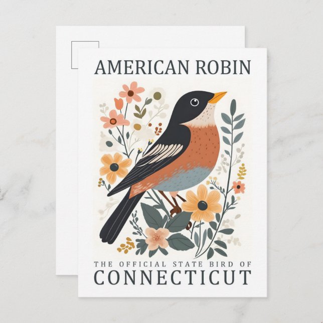 American Robin Bird of Connecticut USA Travel Postkarte (Vorne/Hinten)