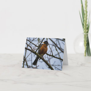American Robin Birds of Spring Card Dankeskarte