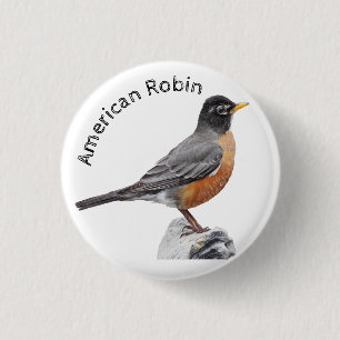American Robin Button