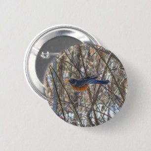 American Robin Button