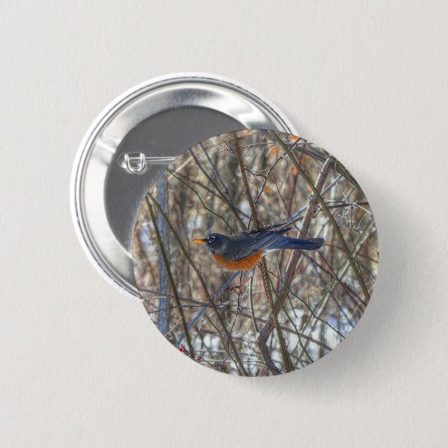 American Robin Button (Vorne & Hinten)