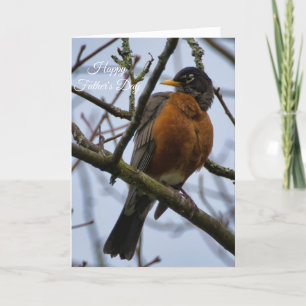 American Robin Happy Father's Day Card Karte