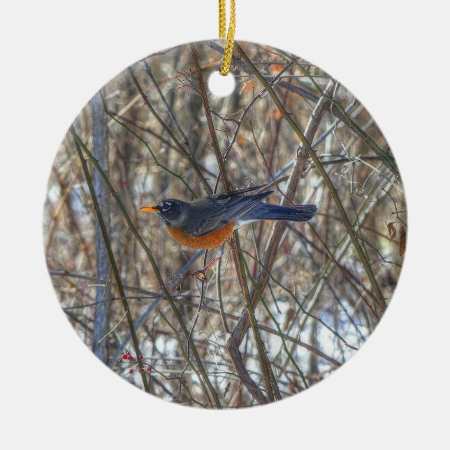 American Robin Keramik Ornament (Vorne)