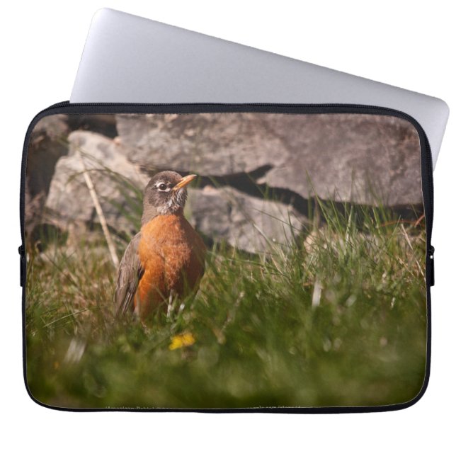 American Robin Laptopschutzhülle (Vorderseite)