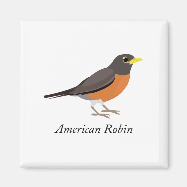 American Robin Magnet (Vorne)