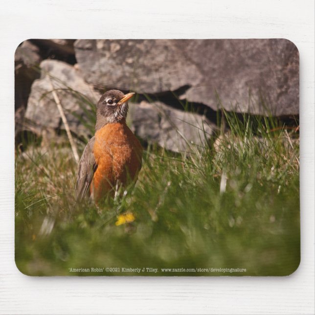 American Robin Mousepad (Vorne)