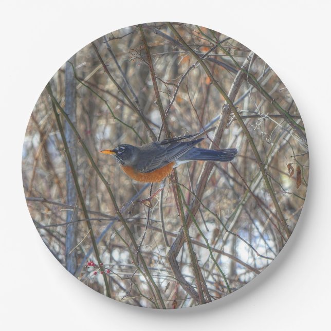 American Robin Pappteller (Vorderseite)