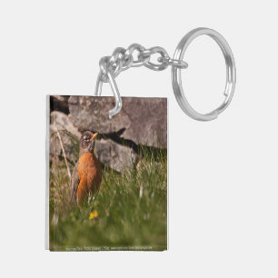American Robin Schlüsselanhänger