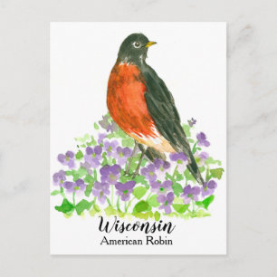 American Robin Staat Bird of Wisconsin Postkarte