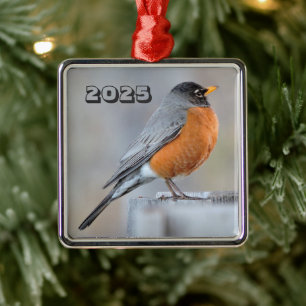 American Robin Stehend am Fence Post Wintry Day Ornament Aus Metall