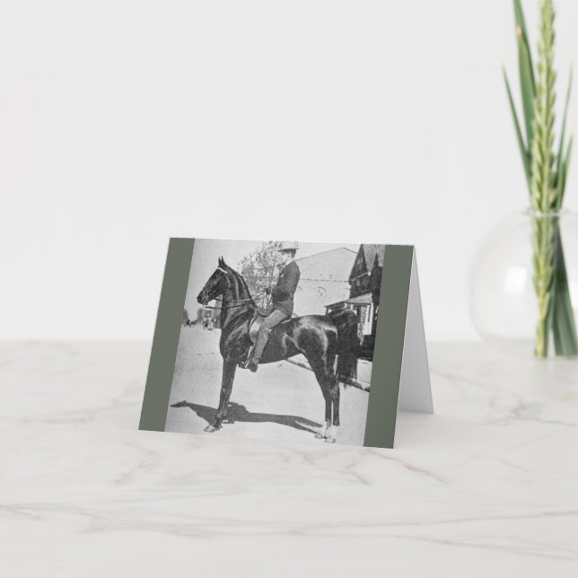 American Saddlebred Horse - Vintages Foto anzeigen Karte (Vorderseite)