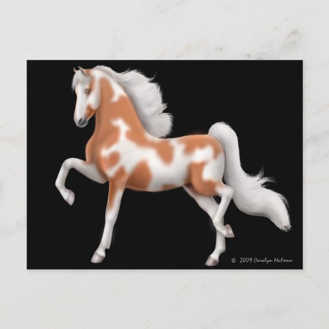 American Saddlebred Pinto Postcard Postkarte (Vorderseite)