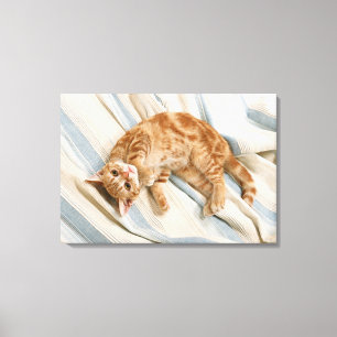 American Shorthair 7 Leinwanddruck